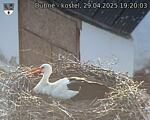 Capi_Dubne_20250429_192003.jpg