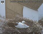 Capi_Dubne_20250429_195002.jpg