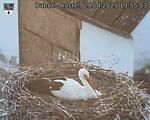 Capi_Dubne_20250429_195503.jpg
