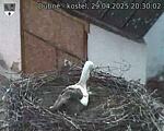 Capi_Dubne_20250429_203002.jpg