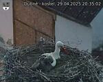 Capi_Dubne_20250429_203502.jpg