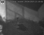 Capi_Dubne_20250429_211002.jpg