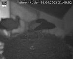 Capi_Dubne_20250429_214002.jpg