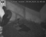 Capi_Dubne_20250429_214503.jpg