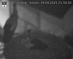 Capi_Dubne_20250429_215002.jpg