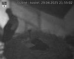 Capi_Dubne_20250429_215502.jpg