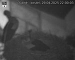 Capi_Dubne_20250429_220003.jpg