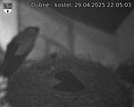 Capi_Dubne_20250429_220503.jpg