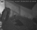 Capi_Dubne_20250429_221002.jpg