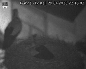Capi_Dubne_20250429_221503.jpg (1350 x 1080)