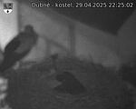 Capi_Dubne_20250429_222502.jpg