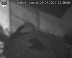 Capi_Dubne_20250429_223003.jpg