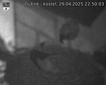 Capi_Dubne_20250429_225003.jpg