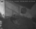 Capi_Dubne_20250429_225502.jpg