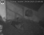 Capi_Dubne_20250429_230502.jpg