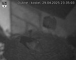 Capi_Dubne_20250429_233503.jpg