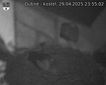 Capi_Dubne_20250429_235502.jpg