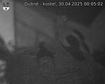 Capi_Dubne_20250430_000502.jpg