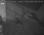 Capi_Dubne_20250430_002003.jpg