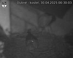 Capi_Dubne_20250430_003003.jpg
