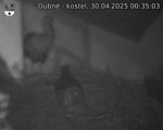 Capi_Dubne_20250430_003503.jpg