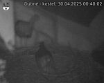 Capi_Dubne_20250430_004002.jpg