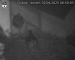 Capi_Dubne_20250430_005003.jpg