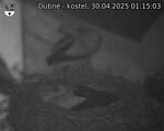 Capi_Dubne_20250430_011503.jpg