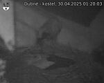 Capi_Dubne_20250430_012003.jpg