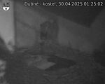 Capi_Dubne_20250430_012502.jpg
