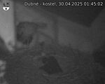 Capi_Dubne_20250430_014502.jpg
