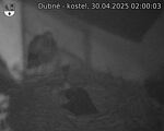 Capi_Dubne_20250430_020003.jpg