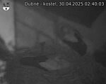 Capi_Dubne_20250430_024003.jpg