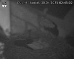 Capi_Dubne_20250430_024502.jpg