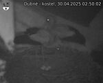 Capi_Dubne_20250430_025002.jpg