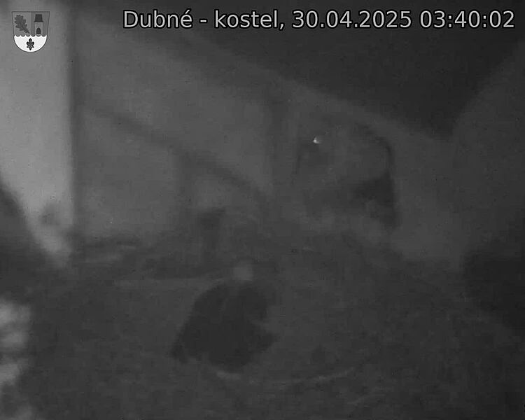Capi_Dubne_20250430_034002.jpg (1350 x 1080)