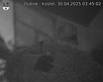 Capi_Dubne_20250430_034502.jpg