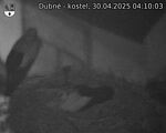 Capi_Dubne_20250430_041003.jpg