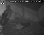Capi_Dubne_20250430_042002.jpg