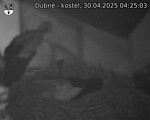 Capi_Dubne_20250430_042503.jpg