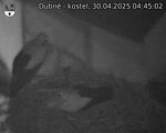 Capi_Dubne_20250430_044502.jpg