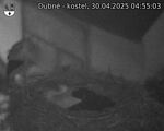 Capi_Dubne_20250430_045503.jpg