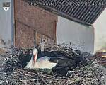 Capi_Dubne_20250430_064504.jpg