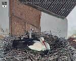 Capi_Dubne_20250430_071504.jpg