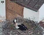 Capi_Dubne_20250430_083004.jpg