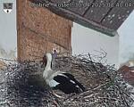Capi_Dubne_20250430_084004.jpg
