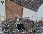 Capi_Dubne_20250430_090003.jpg