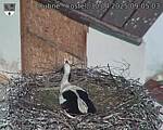 Capi_Dubne_20250430_090504.jpg