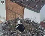 Capi_Dubne_20250430_100003.jpg