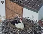 Capi_Dubne_20250430_104502.jpg